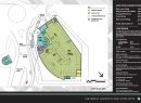 2009-1022_Crested Butte RFP 5